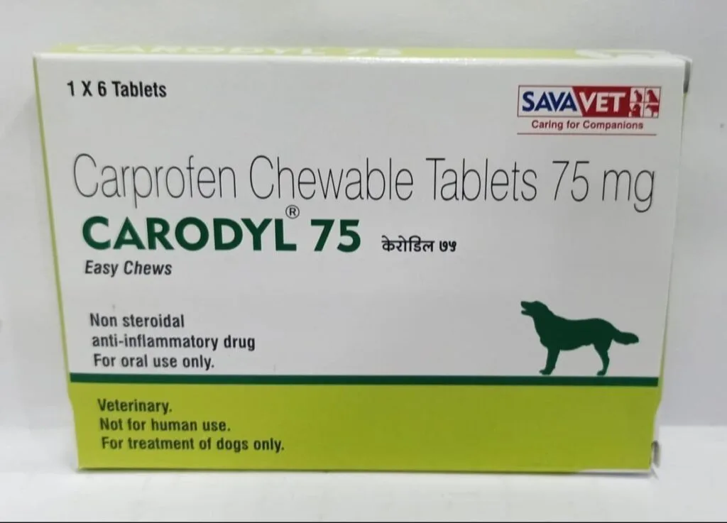 Understanding Carprofen for Dogs: Benefits, Dosage, and Safety ...